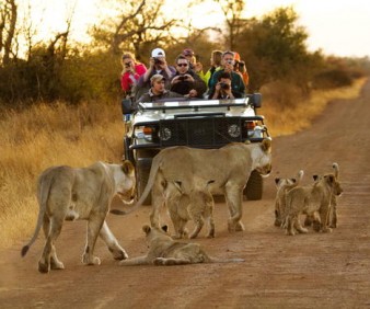 Luxury tours and Safari to Kenya